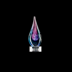 People's Choice Award