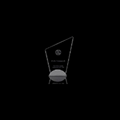 American Business Award