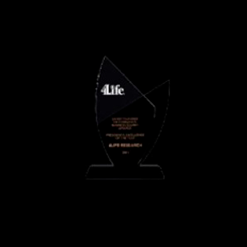 Presidential Excellence Award